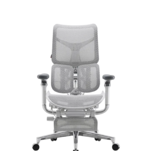 Компьютерное кресло Sihoo S300-B102-JT для дома и офиса. Цвет серый